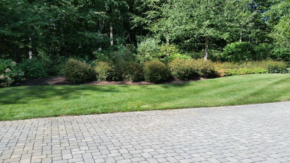 Your Guide to Methuen’s Premier Commercial Landscaping Services