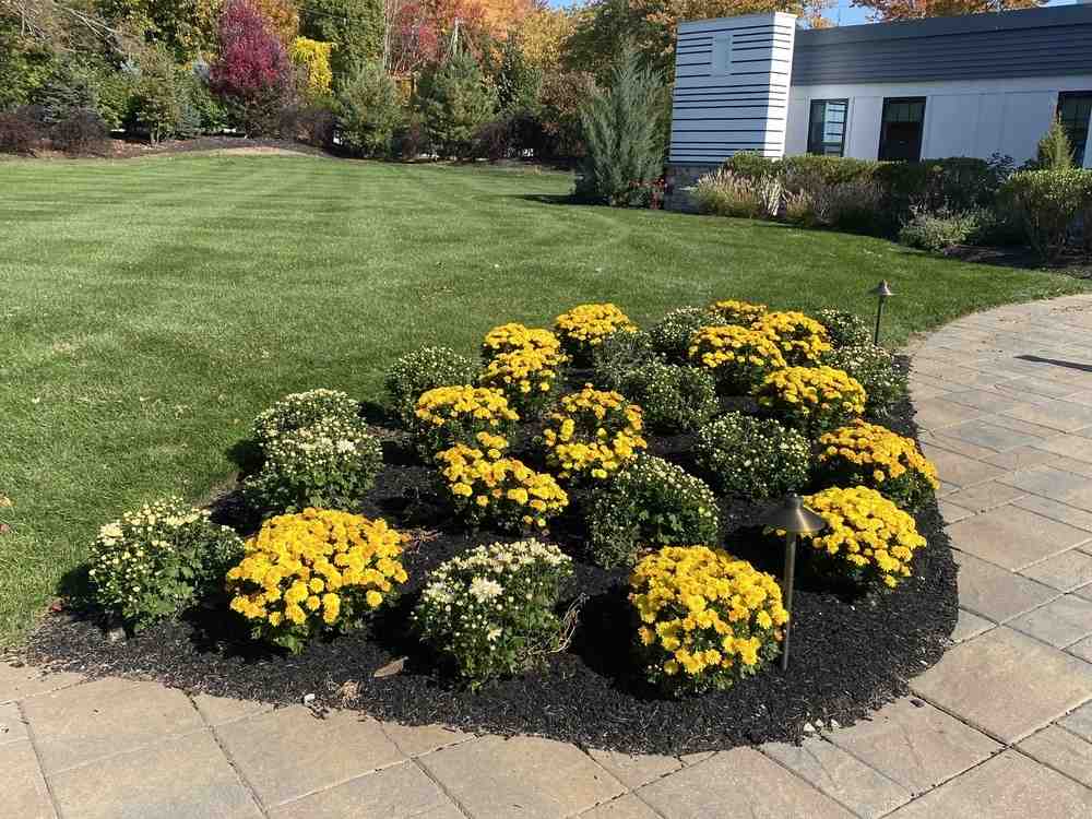 How to Choose the Right Landscape Contractor Near You