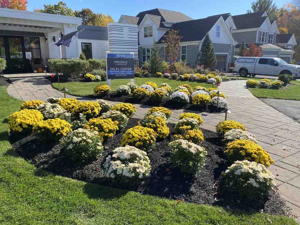 5 Reasons Why You Will Love Landscape Companies in Andover, MA