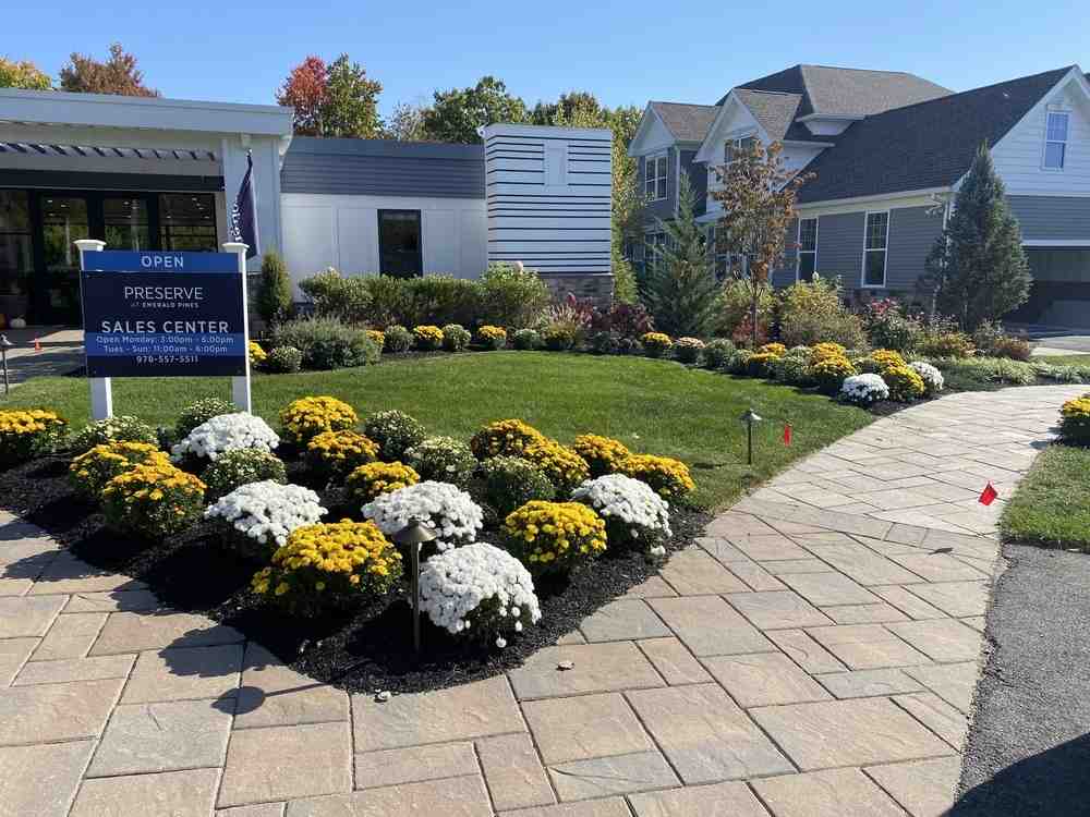 Find the Best Paver Installers Near Me: Top Picks