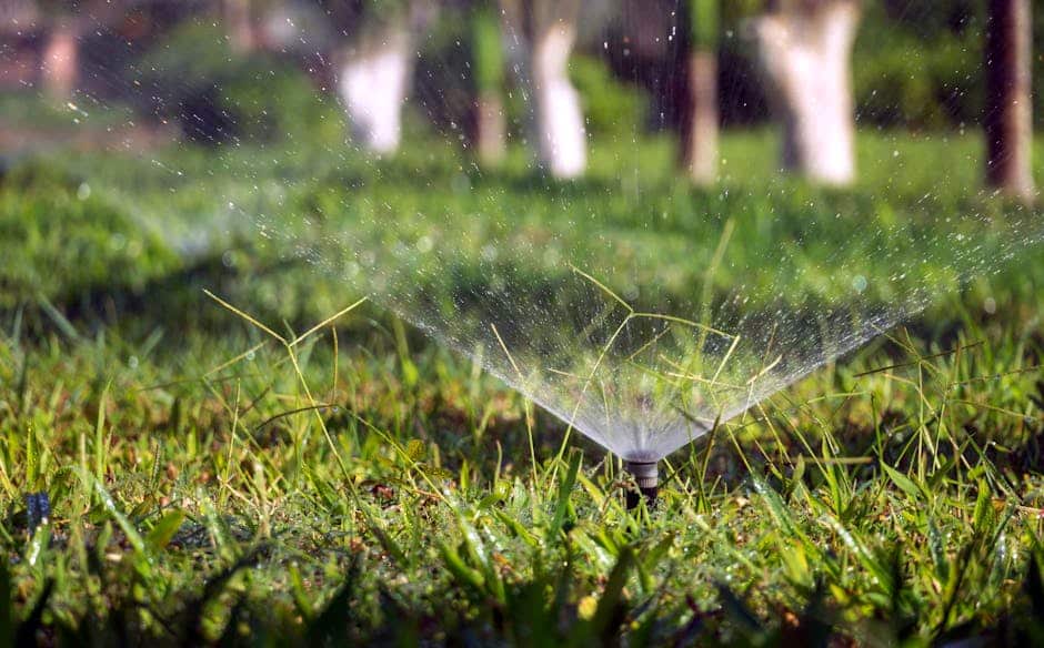 lawn sprinkler system contractor
