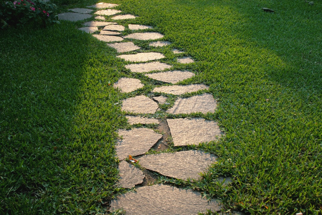 pathways with stepping stones