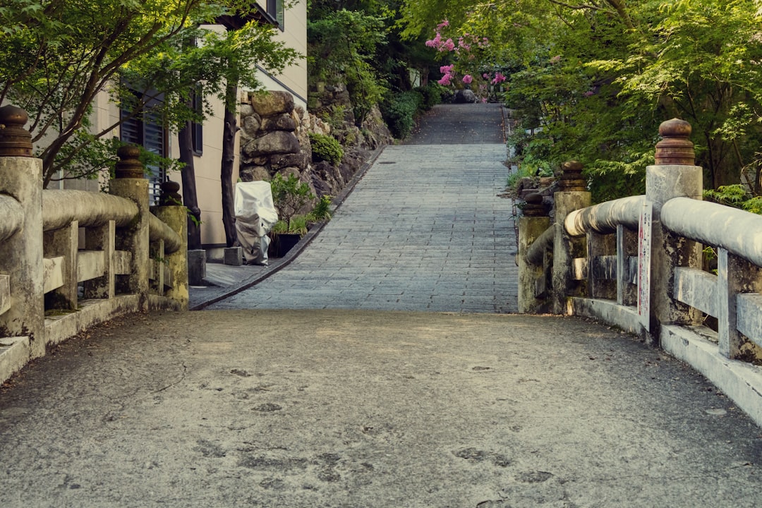 paver designs for walkways