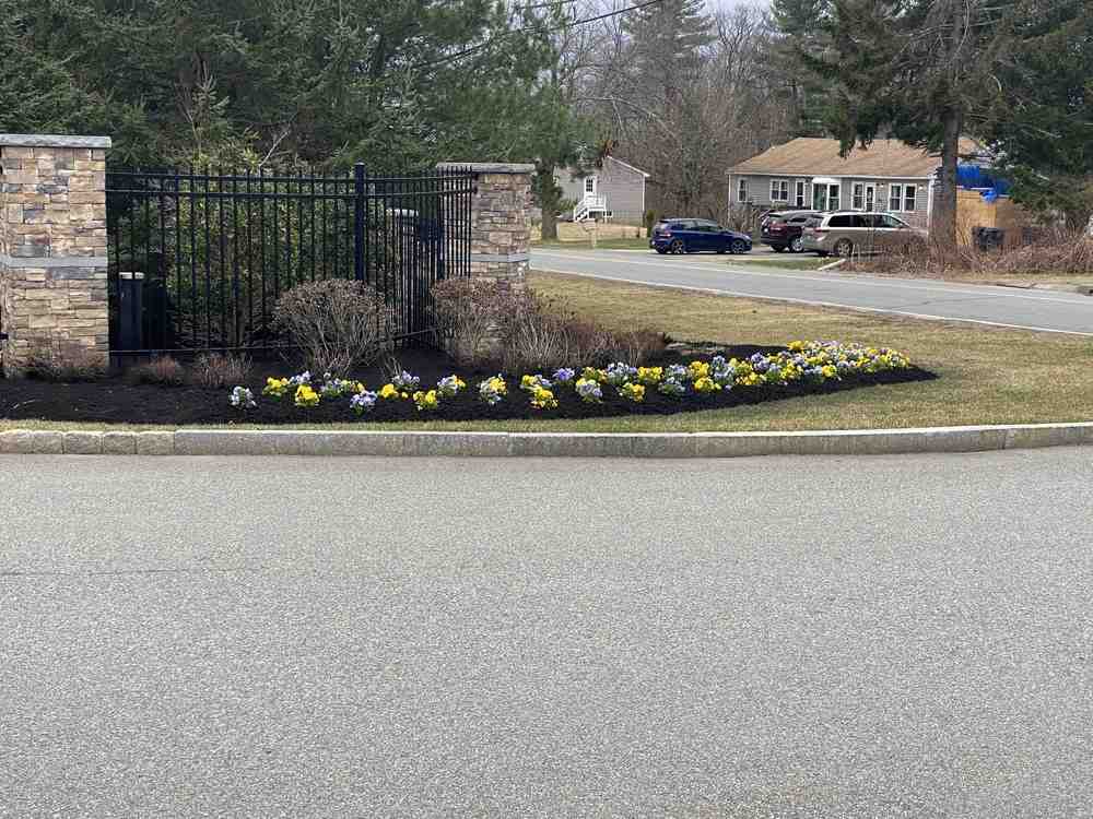 landscaping installation