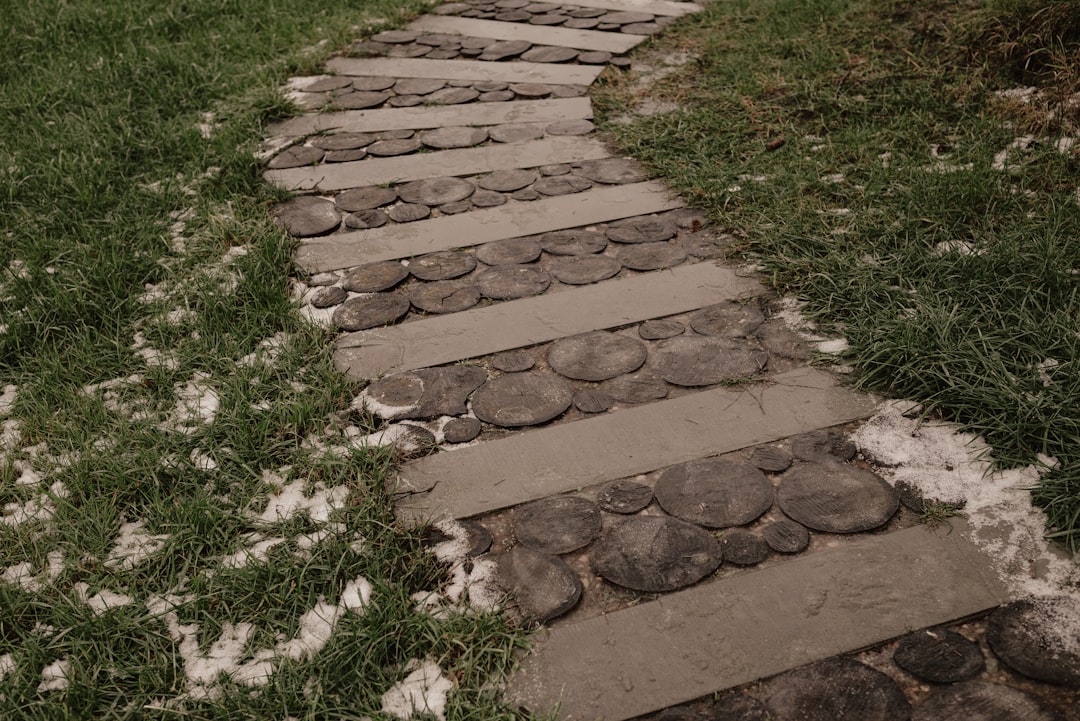 stepping stone walkways